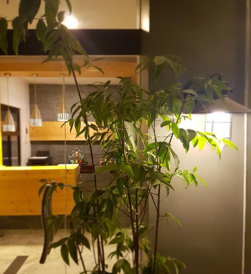 Aliria Bed And Breakfast Tagbilaran Zewnętrze zdjęcie